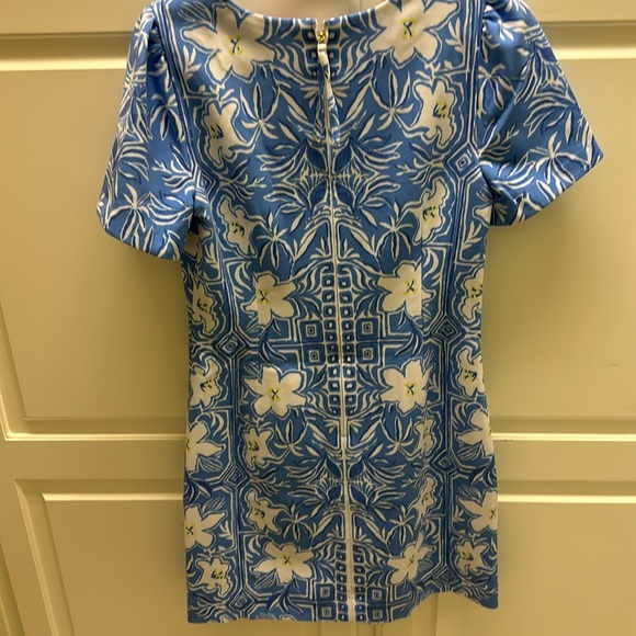 Lilly Pulitzer dress - Picture 4 of 5